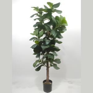 ARTIFICIAL FIDDLE LEAF TREE HXQRY003